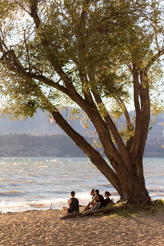 Rotary Beach Kelowna sunset beach shot of three family members sitting together besides a massive tree